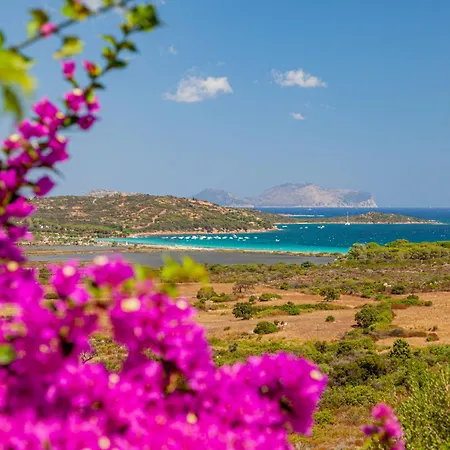 6 Sea View - Lu Nibareddu By Interhome